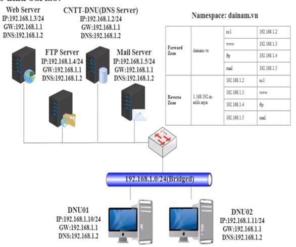 Cài đặt và cấu hình DNS Master trong Linux
