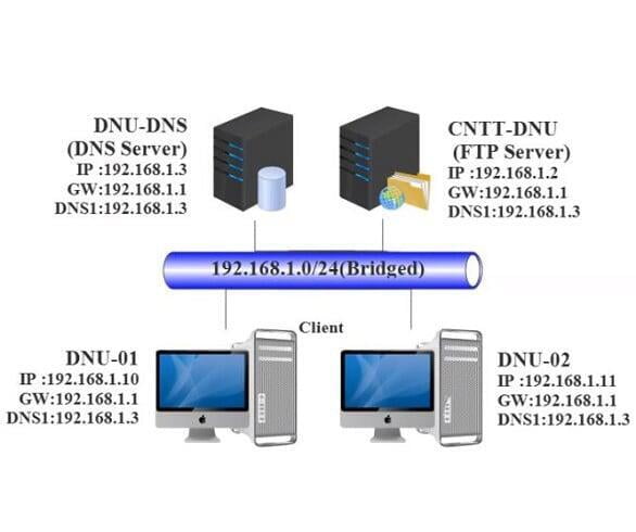 Cài đặt dịch vụ FTP và Cisco Discovery Protocol