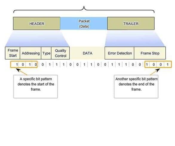  Giới thiệu về tầng Network Access